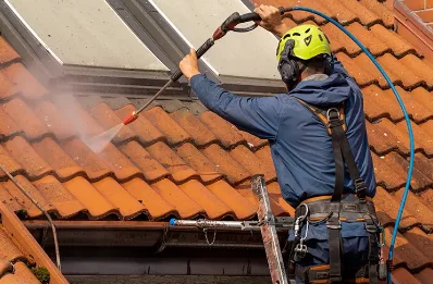 Démoussage et hydrofuge de toiture à Voutré